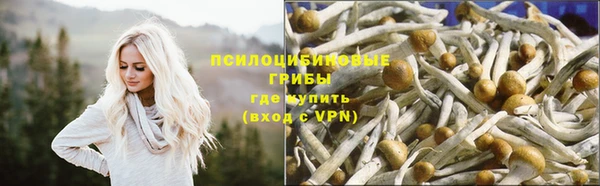 прущий лед Алексеевка