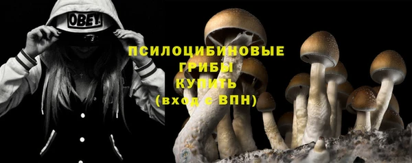 прущие грибы Алексин