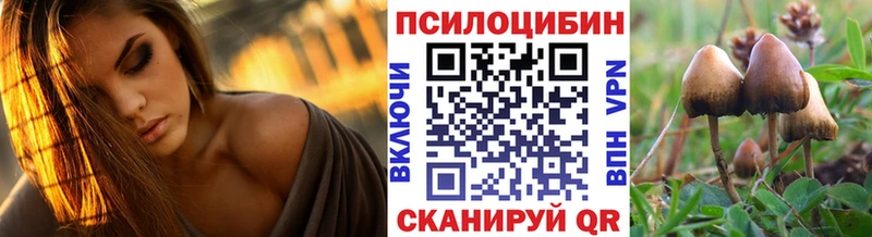 Псилоцибиновые грибы Cubensis дарнет шоп Порхов